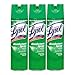 A World Of Deals Professional Lysol Disinfectant Spray, Country Scent, 19 oz., 3 Piece
