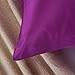 OOSILK 100% Mulberry Silk Pillowcase for Hair Queen 20in x 30in , Violet,Gift Wrap, 1pc