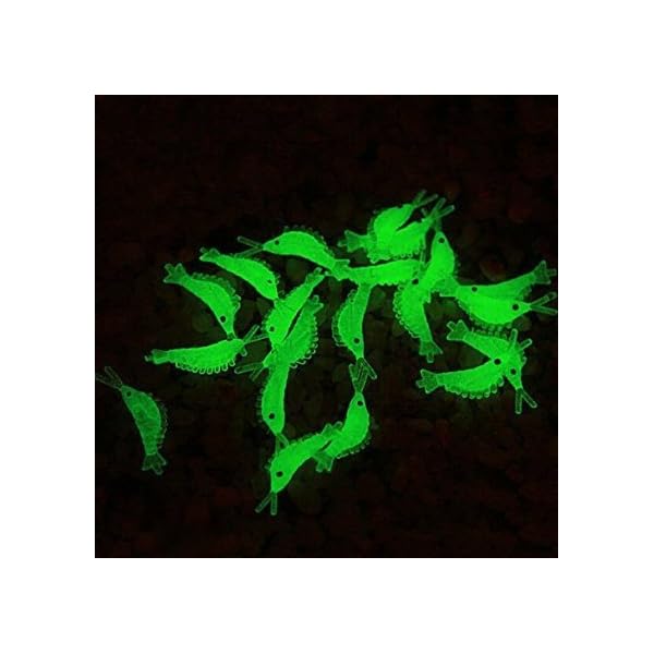 JSHANMEI-30pcs-3cm-118inch-Green-Luminous-Silicone-Soft-Shrimp-Lure-Baits-Small-Luminous-Noctilucent-Fishing-Simulation-Prawn-Shrimp-Lure-Bait-Fishing-Tackle-Lure-Baits