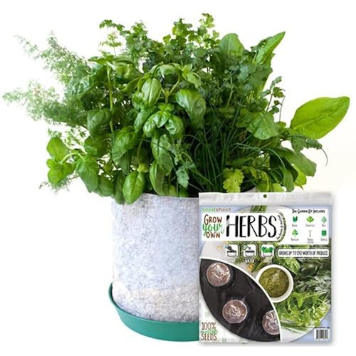 Grocery & Gourmet Food, Produce, Fresh Vegetables