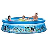 Intex 10ft X 30in Ocean Reef Easy Set Pool Set with Filter Pump (Lawn &amp; Patio)