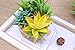 BEGONDIS Artificial Succulents Plants Plastic Fake Topiary Selected Combination with Gray Pot for Home Décor