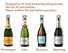 Champagne Sealer Stopper, FUNJIA 2 Pack Stainless Steel Reusable Sparkling Wine Bottle Plug Sealer Set with a Longer Sealing Plug to Keep Fresh, Great Accessories for Champagne