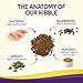 Wellness Complete Health Grain-Free Dry Dog Food, Natural Ingredients, Made in USA with Real Meat, For All Lifestages (Whitefish, 24-Pound Bag)
