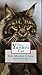 That Yankee Cat: The Maine Coon