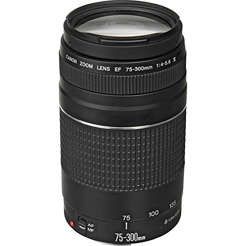 Canon EF 75-300mm F/4-5.6 III Telephoto Zoom Lens