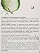 Peter Thomas Roth Cucumber Gel Mask 5 fl oz