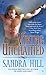 Viking Unchained (Viking Time-Travel)