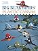 Big Beak Birds in Plastic Canvas (Leisure Arts #5853) by Sheri Allsop Krohn