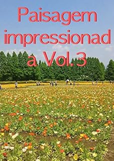 Livro Paisagem impressionada Vol.3