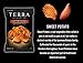 TERRA BBQ Sweet Potato Chips, 5.75 oz. (Pack of 12)