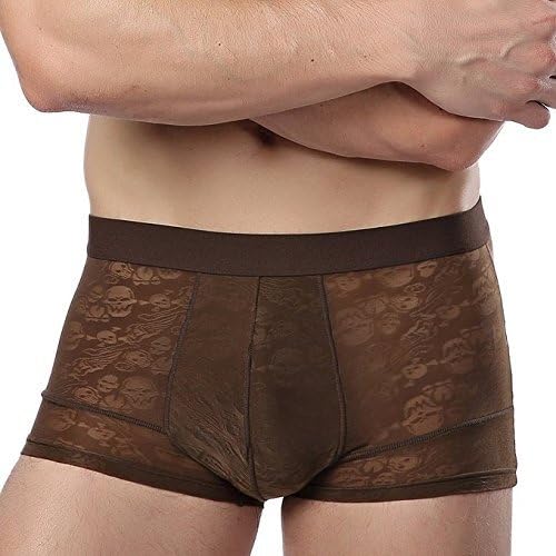 Fenyi Mens Boxer Briefs Underwear With Quick-Drying Transparent Breathable Bamboo Fiber,Trunks For Mens