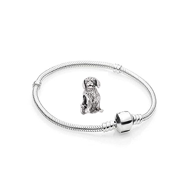 Charms Silber Hunde Edelstahl - 1 Armband und 1 Anhänger Starter Set Angebot - Damen Schmuck bettelarmband Pandora Style Komp