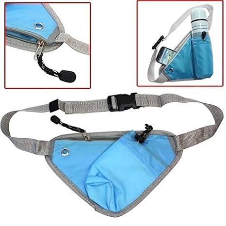 money bag fanny pack