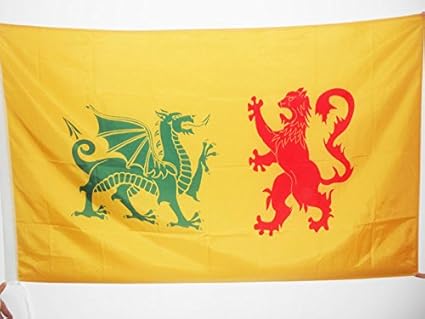 Amazon Com Az Flag Kingdom Of Galicia 410 585 Flag 3 X 5 For A Pole Dinastia Real Sueva Reino De Gallaecia Flags 90 X 150 Cm Banner 3x5 Ft With Hole Garden Outdoor