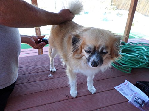 Pet-Clippers-URPOWER-Electric-Rechargeable-Pet-Grooming-Clippers-Pet-Grooming-Clipper-Kit-Pet-Hair-Trimmer-for-Dogs-and-Cats-with-4-Cutting-Lengths-2-Comb-Attachments-1-Stainless-Steel-Comb