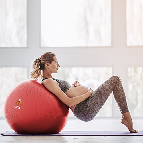 Exercise Ball Stability Fitness Balls | Best Professional Balance Anti-Burst Set – Yoga Large Thick Gym Ball With Pump & Accessories, Extra Pin For Valve, Elastic Loop & Hard Cover Workout Guide…