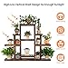 Giantex Flower Rack Wood Plant Stand Wood Shelves Bonsai Display Shelf Indoor Outdoor Yard Garden Patio Multifunctional Storage Rack Bookshelf W/Hollow-Out Rack (47.5″Lx 10”Wx 38”H (6 Tier))thumb 4