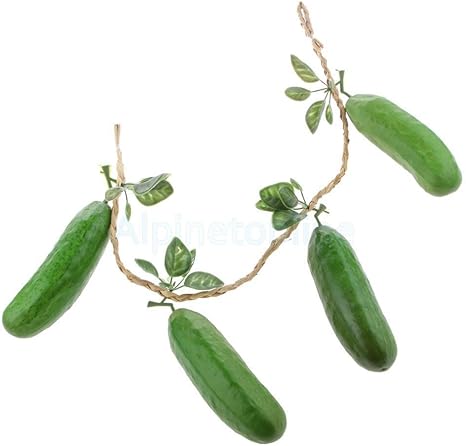 Amazon 実サイズの人工きゅうり食品文字列レプリカキッチンシーンを表示 Accs インテリア オンライン通販