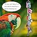 Bird Toys Stainless Steel Parrot Bird Chew Toy Brightly Colored Bird Chewing Toy Cup Sneaker Spoon Delight Parrot Toy for African Grey Cockatoo Amazon Parrots Bird Chew Toy for Small and Medium Birdsthumb 4