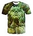 FaPlus Men's Fashion 3D Print Shorts Sleeve T-Shirts