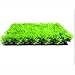 Ray-JrMALL Artificial Water Aquatic Green Grass Plant Lawn Aquarium Fish Tank Landscape
