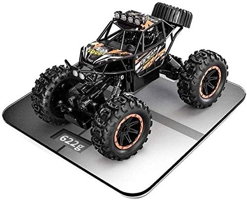 big radio controlled cars