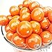 Orange Gumballs - 2 Pound Bags - Large - One Inch in Diameter - About 120 Gumballs Per Bag - Free 