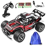 RC Car Remote Control Car RC Buggy Racing Truck- 2 WD 2.4Ghz Off-Road 1:16 RC Car with 2 Rechargeable Battery &Storage Bag