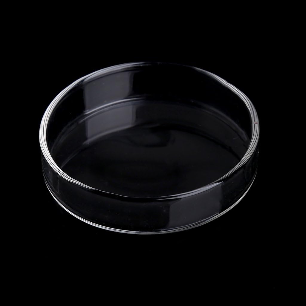 ruiruiNIE Aquarium Fish Tank Shrimp Feeding Food Dish Bowl Feeder Tray Container Glass Shrimp Feeding Dish for Shrimp Food