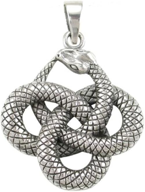 Amazon 925スターリングシルバー ウロボロス 蛇 蛇 インフィニティ 食べる しっぽ 大きなチャーム ペンダント 30mm ネックレス 通販