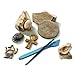 Educational Insights Geosafari Egyptian Dig