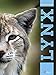Le lynx (PORTRAITS SAUVAGES) (French Edition) by