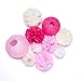 Pink and White Party Decorations Supplies Paper Lanterns Tissue Paper Pom Poms Dot Garland Kit for Wedding Birthday Bachelorette Baby Shower for Girls 19Pcs