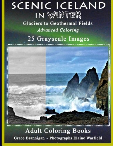 Scenic Iceland in Winter: Glaciers to Geothermal Fields: Advanced Coloring 25 Grayscale Images (Adult Coloring Books) (Volume 15) by Grace Brannigan