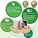 Banglijian Hearing Aid Rechargeable 201P Powerful gain with 4 Channels, Layered Noise Reduction, Adaptive Feedback Cancellation, 2 Types of Sound Tubes