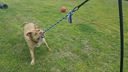 tether tug dog toy