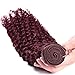 Red Wine Color Malaysian Deep Curl Hair 3 Bundles #99J Malaysian Kinky Curly Hair 100% Ombre Human Hair Extensions (16 18 20 inch, #99J)