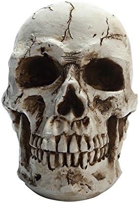 Home Decorate Resin Craftwork Ployresin Statues Sleeping Buddha/ Skull Head /Lucky Elephant/ Buddha Head/ Sitting Buddha/Seated Buddha (White)