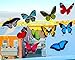 Quotidian Products Butterfly Window Clings-20xAnti Collision Decal to Prevent Bird Strikes on Doors & Windows-Static,UV Resistant & Non Adhesive Vinyl Cling Deterrent Decal & Glass Decor to Alert Bird