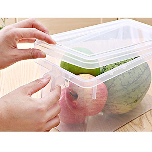 MineDecor Plastic Storage Containers Square Handle Food Storage Organizer Boxes with Lids for Refrigerator Fridge Cabinet Desk (Set of 4 Pack, Large Organizer Bins)