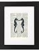 Dictionary Art Print - Blue Kissing Sea Horses - Printed on Recycled Vintage Dictionary Paper - 8