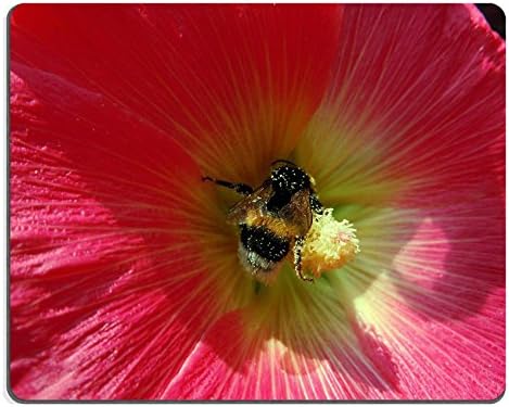 hummel pollen plant insect QZone Customized Made to Order Cloth with Neoprene Rubber Mouse Pads