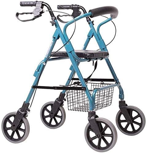 stroller for seniors