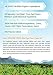 Organic Moringa Tulsi Tea (28 Potent Tea Bags). USDA Certified Organic. Rich in Antioxidants and Daily Needed Essential Nutrients. No Artificial Flavors or Preservatives. All Natural!