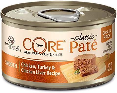 black hairy chihuahua