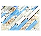 TST Glass Inner Conch Tile Beach Style Blue Cream White Brushed Steel Art Mosaic Kitchen Backsplash Bath Decor TSTNB06 (1 Sample [4'' x 12''])