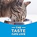 Purina Cat Chow High Protein Dry Cat Food, Complete - 22 lb. Bag