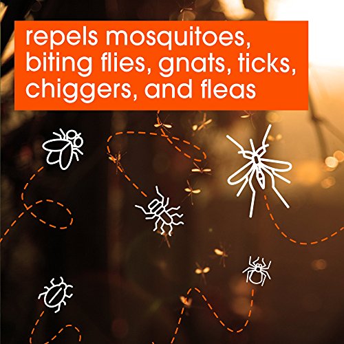 6 OFF+FamilyCare+Insect+Repellent+Smooth