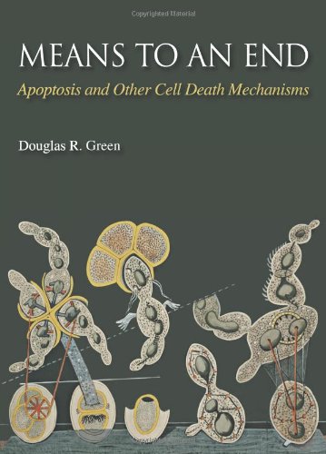 Means to an End: Apoptosis and Other Cell Death Mechanisms